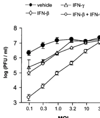 TABLE 2. Effect of IFN-� and IFN-� on HSV-1 replication in three different cell types