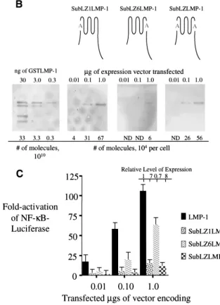 FIG. 2—Continued.