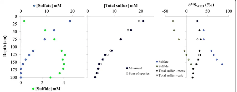 Table 7 Summary of results from the Aarhus Bay pore-water study