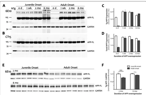 Figure 4 Adult expression of transgenic APP is independent of age at onset.mo reveals that transgenic protein was lower in adult- than in juvenile-onset mice after 2 mo of expression (***plevels at 6 mo (n.s.)