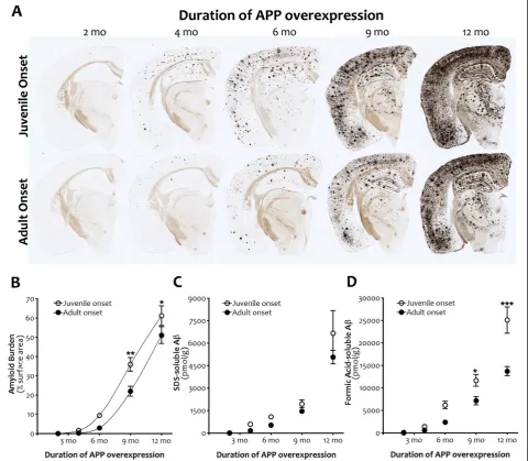 Figure 5 Amyloid burden and Agenotype at each time point.psignificant differences in FA-soluble Adurations of APP overexpression, adult onset is associated with lower levels of both SDS- and FA-soluble Aβ levels are slightly delayed by adult onset APP over