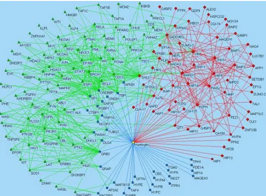 Figure 1.1: Visualization of a social network around an individual [urla].