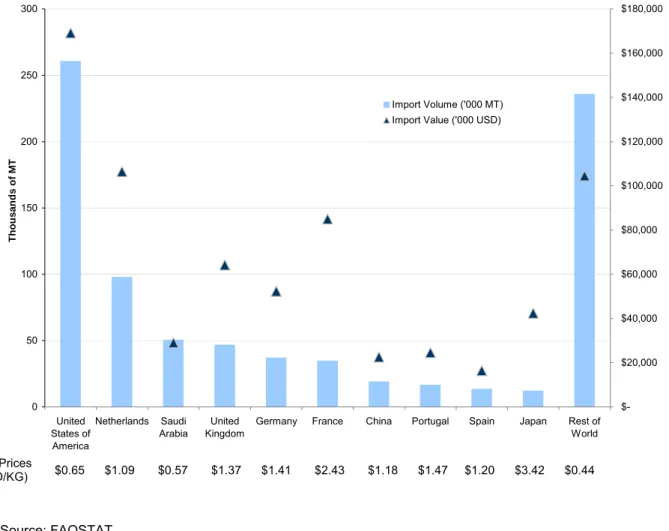 FIGURE 7: PRINCIPAL MANGO IMPORTING COUNTRIES (2005) 