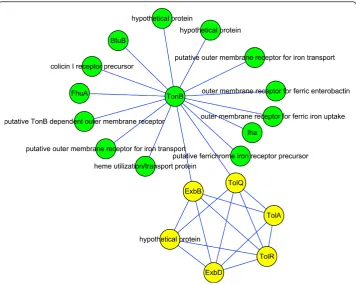 Table 3 NCBI annotation, SignalP and TMpred prediction result of the seven centralproteins