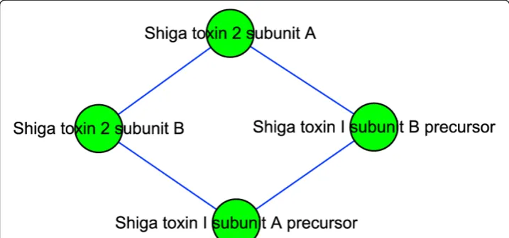 Figure 5 Interaction map of module 101 related to Shiga toxin.