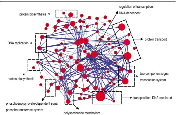 Figure 6 Relationships among predicted modules. Red node in the network represents a module