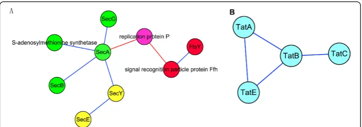 Figure 8 Modules related to protein export. A: Modules related to Sec translocation system