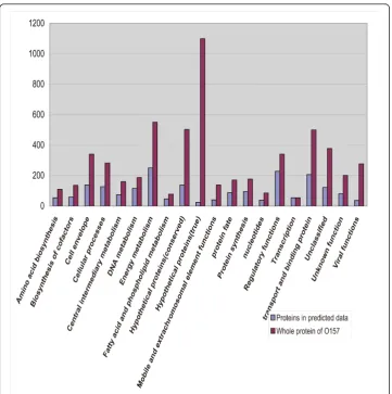 Figure 1 Functional category comparisonfunctional categories. Blue bars represent proteins in predicted data and red bars represent whole proteinsfrom O157