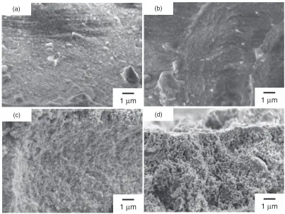 Fig. 4SEM images of the cross sectional structure of the cathode onto BCZY622 electrolyte disc made from the as-calcined LSCF6428(a), (b) and bead-milled LSCF6428 slurry (c), (d).