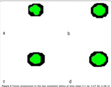Figure 9 Tumor progression in the low resolution lattice at time steps t=1 (a), t=27 (b), t=36 (c)and t=100 (d)