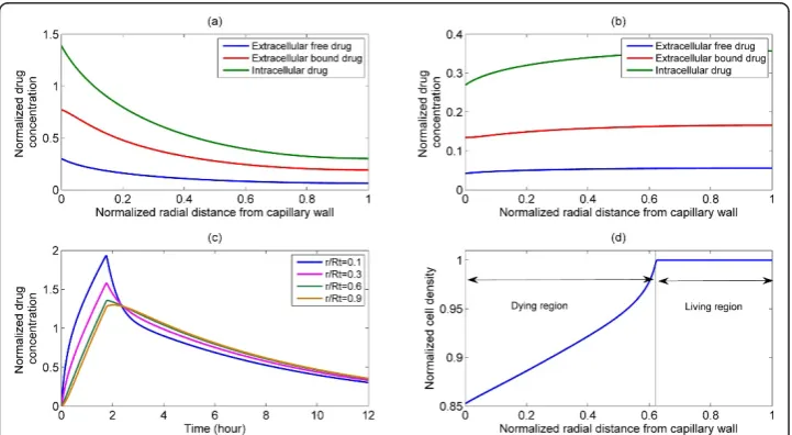 Figure 3 Representative plots of spatial and temporal distributions of drug and cell densityfollowing a pulse injection for bistable switch