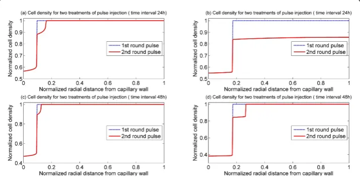 Figure 6 Spatial profiles of cell density for two rounds of pulse injection with the same pulseheight and weight, S = 4, T = 1.5 h(a) Bistable switch case, (b) Monostable switch case