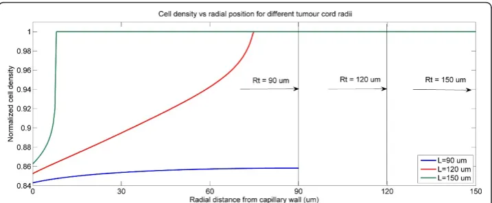 Figure 7 Spatial profiles of cell density at 12 h for different tumour cord radii under a pulseinjection, S = 4, T = 1.75 h for bistable switch.