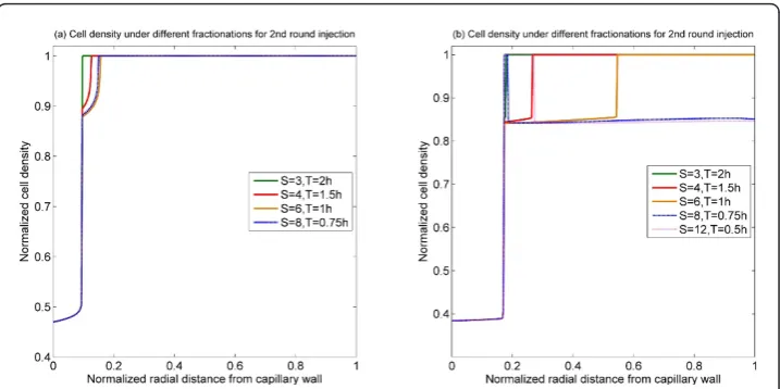 Figure 10 Spatial profiles of cell density at 60 h for the 2nd injection under different fractionationswith 48 h time interval