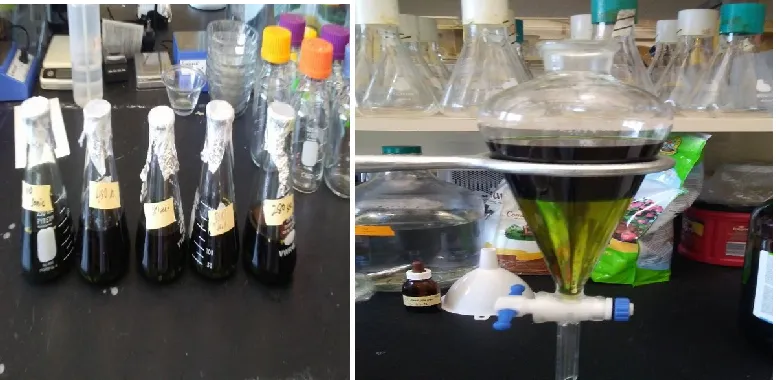 Figure 1.9: Lipid extraction from sonicated algae biomass using organic solvents 