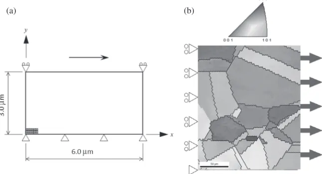 Fig. 1Analytical model employed in FE simulations; (a) FE mesh for simple shear, and (b) initial orientation distribution.