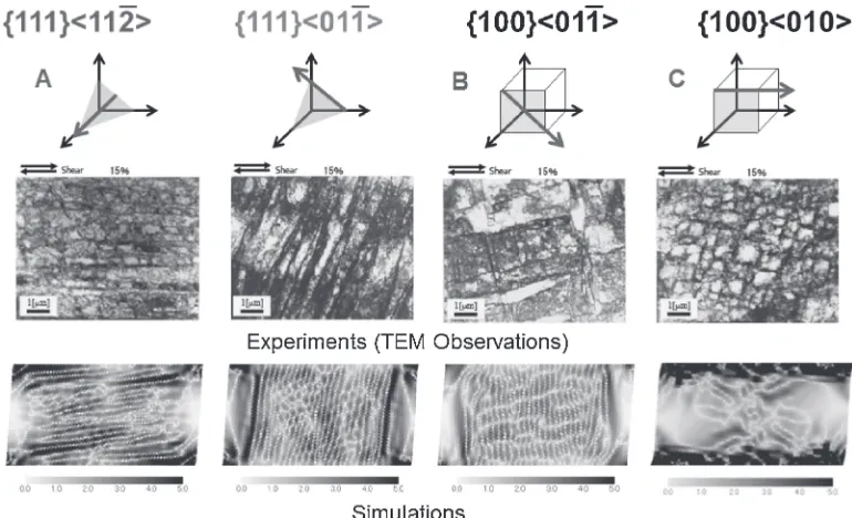 Fig. 2Comparison with TEM observations for dislocation substructures under simple shear for single crystal stainless steel (BCC).