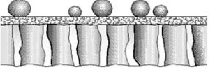 Figure 3.4 Molecular Structure of Ultrafiltration 