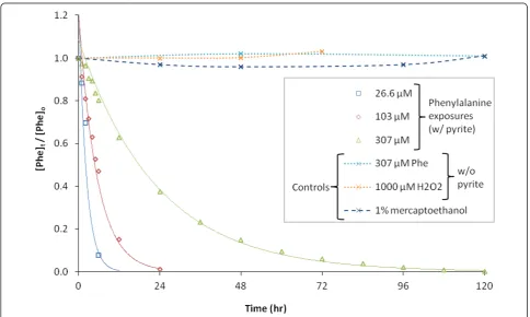 Figure 2 Degradation of various Phe concentrations in the presence of 100 g/L pyrite (Exp