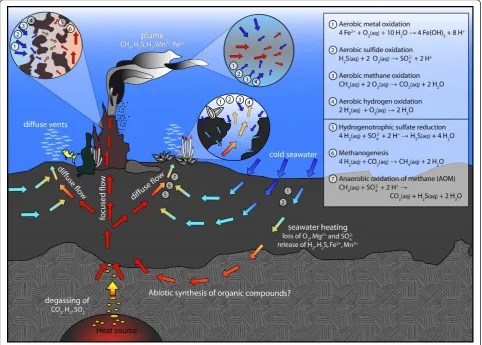 Figure 1 Sketch of idealized fluid flow within a hydrothermal system and potential catabolic reactions in different environments(chimney wall, plume, recharge zone, and subseafloor mixing zone)