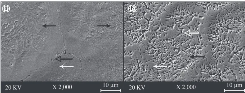 Fig. 7Microstructure of specimens cast in smaller graphite mold before RAP process (a) and after RAP process (b).