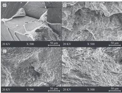 Fig. 10Schematic illustration of microstructural evolution during RAP and post heat treatments.7)