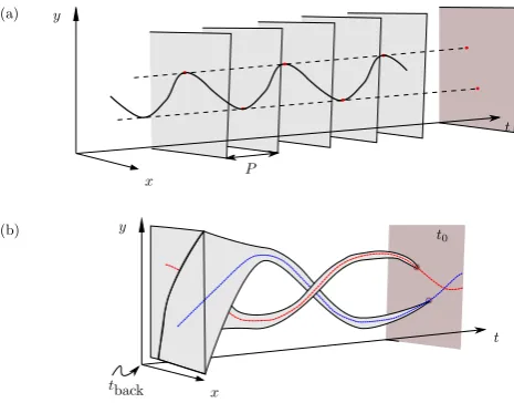 Fig. 4. (a) The stroboscopic section is obtained by superimposingthe system state every forcing period (P ), here illustrated for a 2 : 1synchronisation
