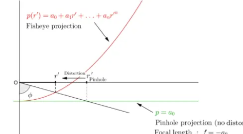 Figure 3. Radial distortion modelization in Scaramuzza et al.constant polynomial functionfunctionno distortion (i.e., pinhole projection(2006) for omnidirectional cameras