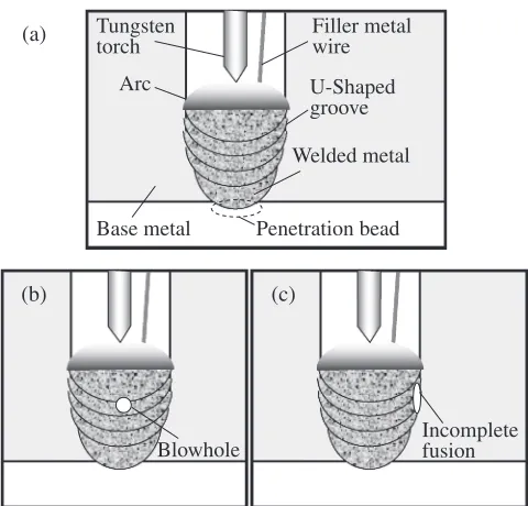 Fig. 1Schematic diagrams of the thick welding. (a) Normally welded area.(b) Blowhole image