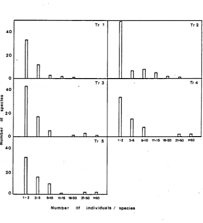 FIGURE 4: The frequency distribution for number of individuals per species for transects 1 to 5