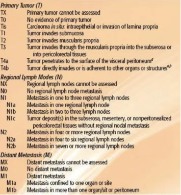 Figure 7: AJCC TNM staging (2009) 