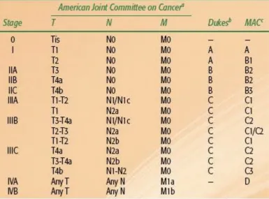 Figure 8: AJCC stage grouping