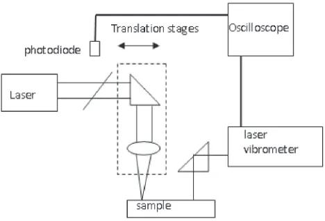 Fig. 4Experimental scheme of laser induced SAWs in teeth.