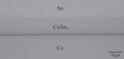 Fig. 2Concentration proﬁles of Co and Sn across the intermetallic layerfor the Sn/Co/Sn diffusion couple annealed at T = 473 K for t = 166 h(568 ks).