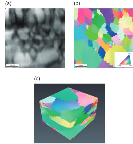 Fig. 4The evolutions of IPF maps and the corresponding IPFs with increasing equivalent strain