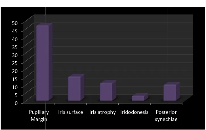 Table 6 Iris characteristics 