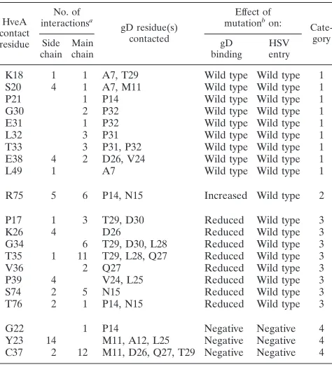TABLE 1. HveA contact residues