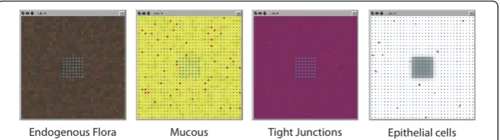 Figure 2 Screenshots of different backgrounds representing data layers. Representative patchbackgrounds depicting endogenous gut flora population (brown patches), mucous barrier (yellow patches),epithelial cell tight junctions (violet patches) and epitheli