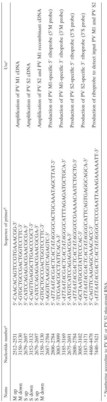 TABLE 1. Sequences of primer sets