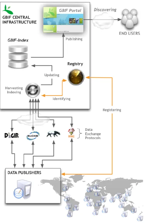 Figure 1. Typical flow of data discovered and published through the GBIF network. 