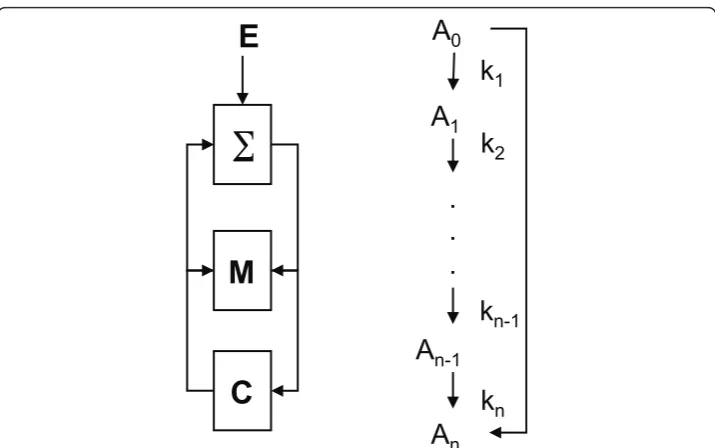Figure 1 Flow diagram of an anticipatory system (left), and a simple chemical reaction networkdiagram (right).