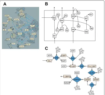 Figure 3 Network and block diagrams. Panel A: Diagram from Ideker et al [27] of a segment ofgenomic-proteomic-metabolic network