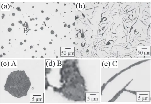 Fig. 1Optical micrographs of polished samples. (a) Ductile cast iron, and(b) gray cast iron