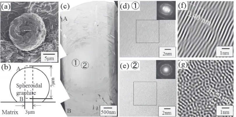 Fig. 3(a) SI micrograph of the spheroidal graphite in a polished sample. (b) TEM bright ﬁeld image of a spheroidal graphite obtainedfrom an X-TEM sample prepared from graphite marked by dotted line in (a), (c) an enlarged micrograph of the region marked by