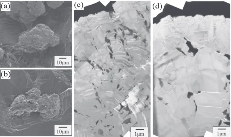 Fig. 6(a) SI micrograph of the spheroidal graphite in a deep etched sample. (b) Schematic diagram of the area used for the preparation ofthe X-TEM sample from the ﬂake graphite of (a)