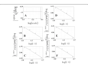 Figure 3 Calculations of the scale-invariant power law coefficient of the straight line using the boxcounting method