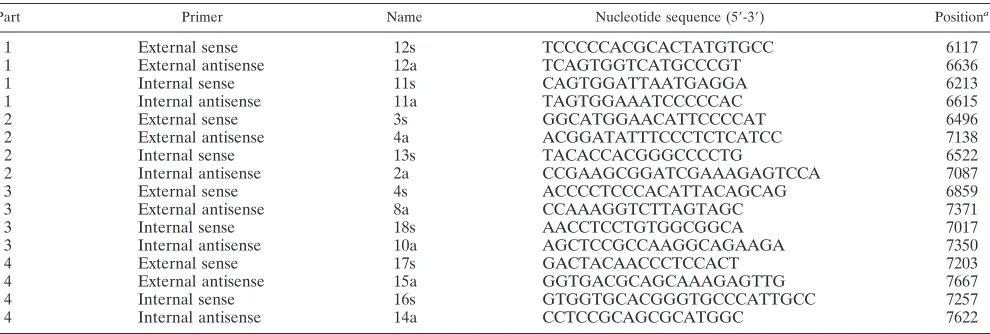FIG. 1. Location of different regions of interest within HCV NS5A protein. The NS5A protein (aa 1973 to 2419), the potential region forcytoplasmatic retention (aa 1973 to 1999), potential cleavage sites (aa 2126 to 2127, 2167 to 2173, and 2361 to 2362), binding to NS4A (aa 2135