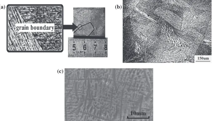 Fig. 1Centimeter-scale grains: (a) columnar grain, (b) equiaxed grain, (c) dendrite.