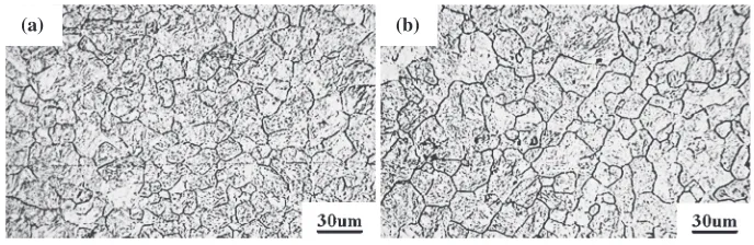 Fig. 11Microstructures of different heating time at 850°C: (a) 1 h, (b) 3 h.