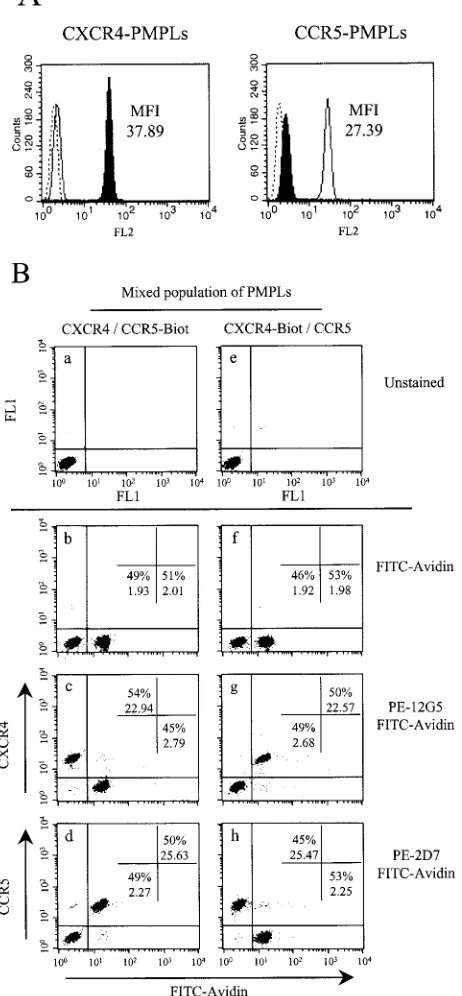 Figure 2A shows that only very weak binding of HXBc2